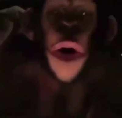 I don’t know if it’s a repost, just thought where it’s belong to