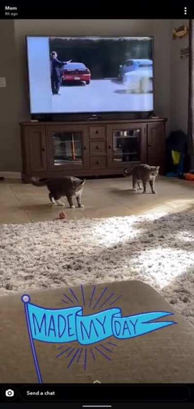 Brother and sister don't like the new rug