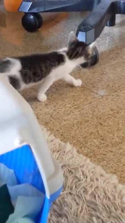 So small, so powerful!