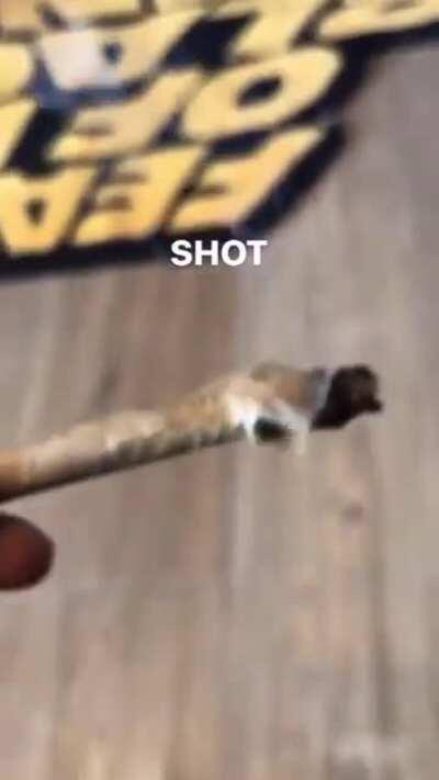 Pierre's laugh has me dead