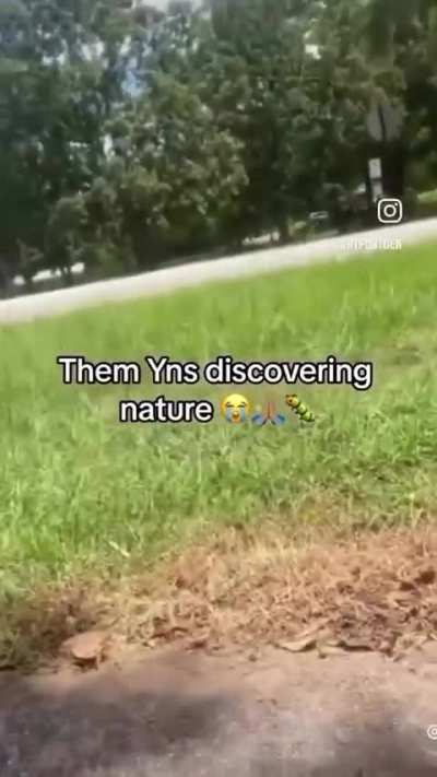 threr is: dramn ctaapillar bart simpon