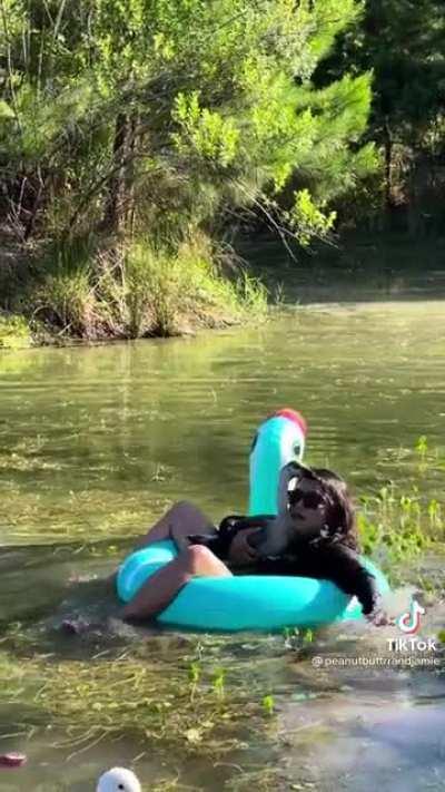 Just a moment out in a Florida swamp