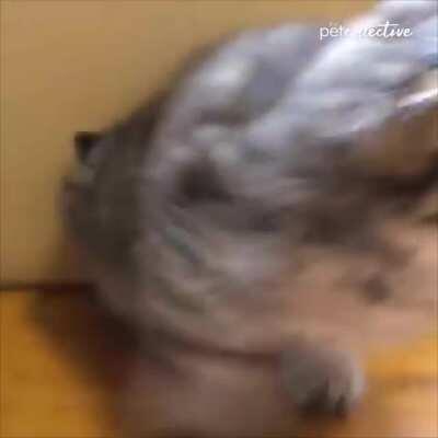 The floodgates have broken!