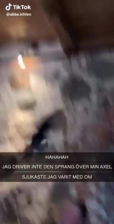 Squirrel wants to join for dinner