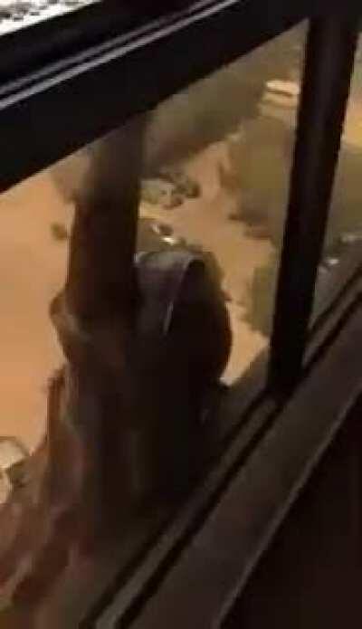 Maid holding on for dear life while Karen records.