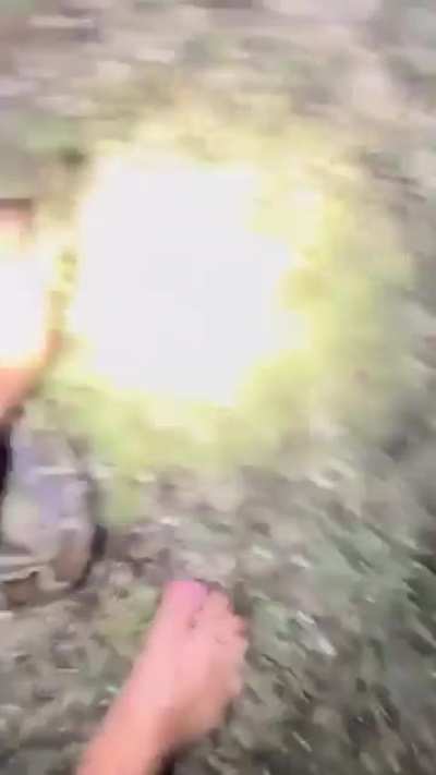 The Yoink Master, Defender Of The Everglades