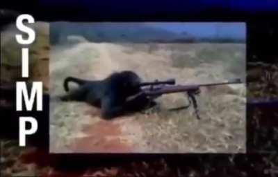 Yes, i am a very good simp