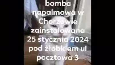 kolegowie to rzart jagby?