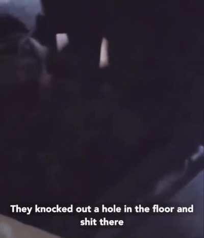 If you don't know how to use flushing toilet, why not make your own crapping pit out of an elevator?