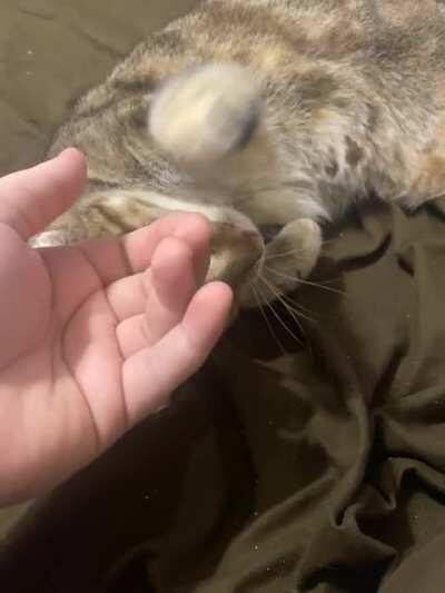 My 20 year old baby~ (who is older than me lol)