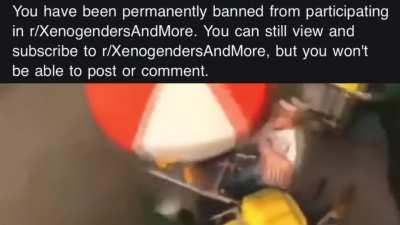 fuck neopronouns 🤝