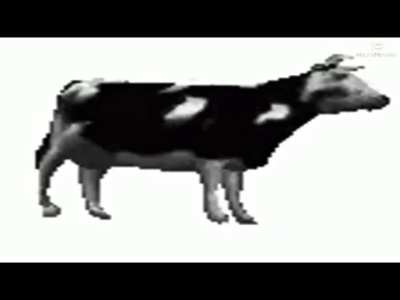 2 minutes for this fucking cow enjoy