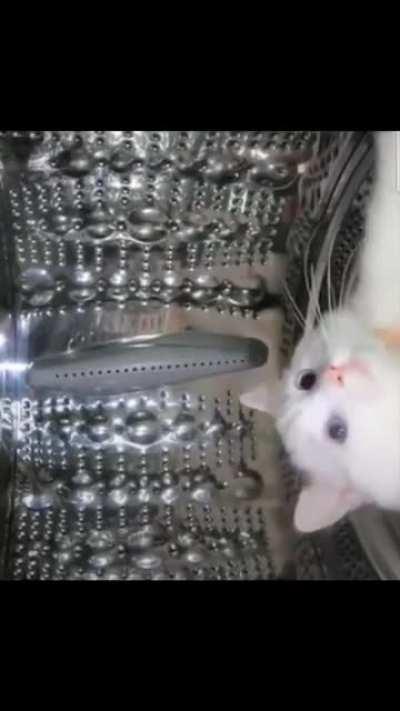 appliance inspector🔧