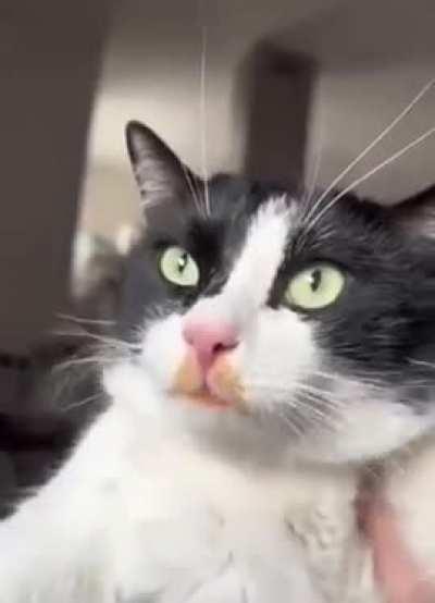 The evidence is there 