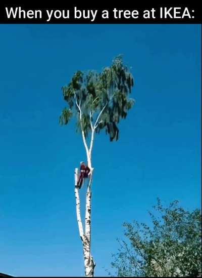 Assembling tree from IKEA.