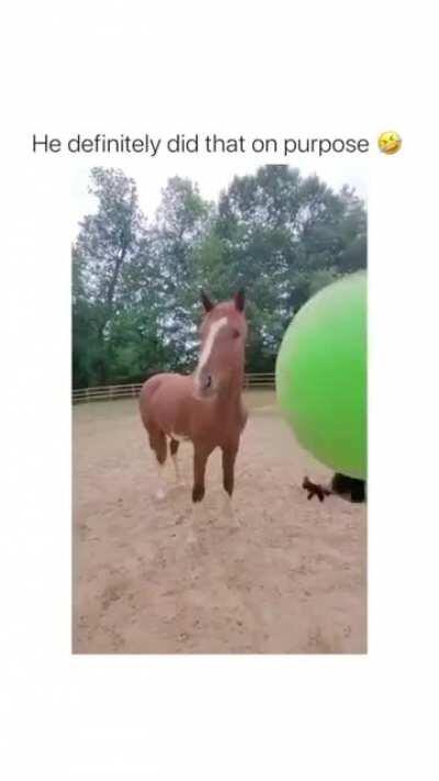 Smart horse