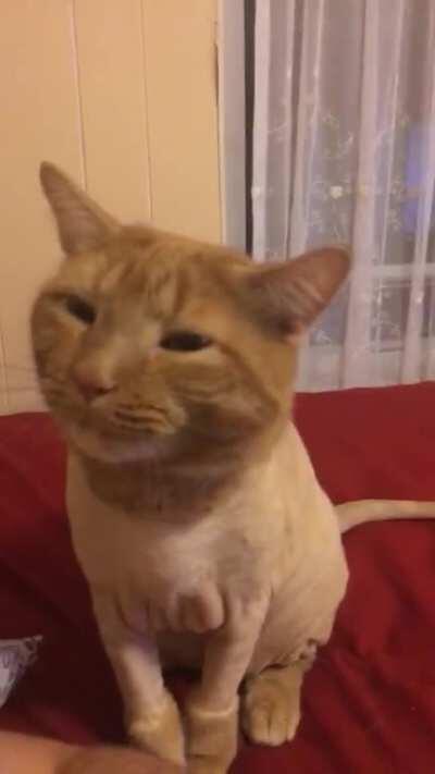 He pretends like he’s chewing to communicate that he’s hungry!