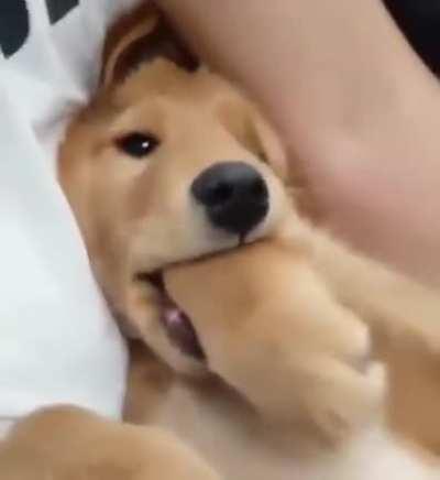 Mom my paw tastes so good