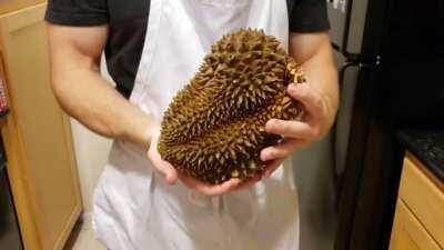 Just like Breath of The Wild