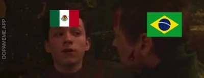 Lo Siento Brasil, Les Fallamos Chicos