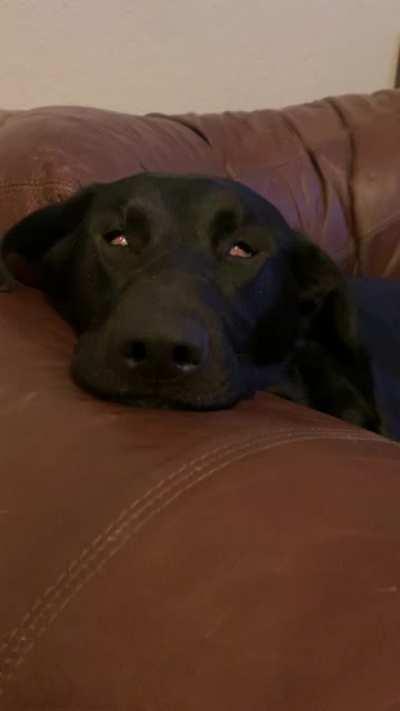 I think she’s broken