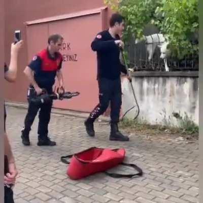 Good boy pranks firefighters and people on the street by pretending he is stuck between bars.