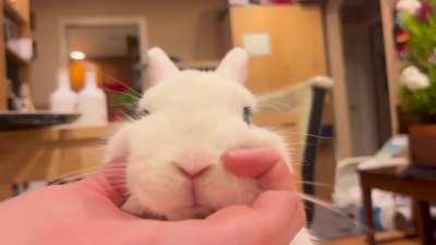 i give him smushes he gives me kisses <3