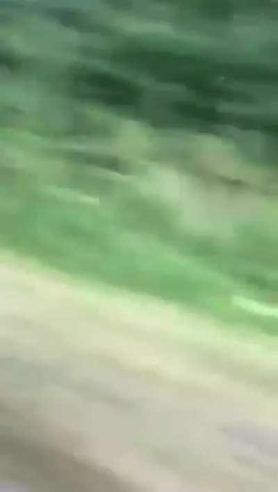 Does this belong here?