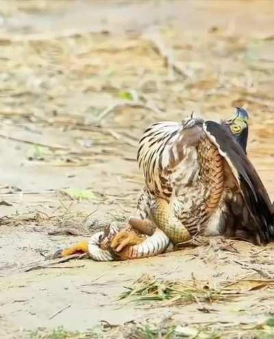 What lesson did you learn from this?