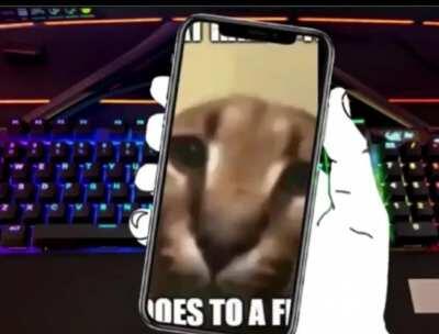 My first floppa meme I hope you like it :)