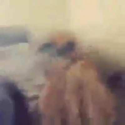 ta com o cu pegano fogokkkkkkkkk