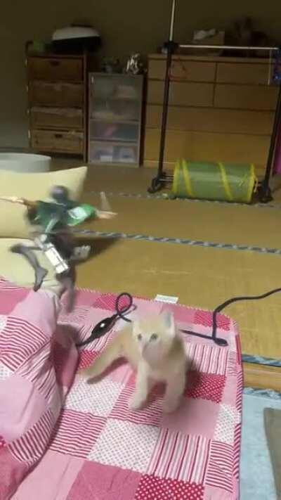 AoT Part 2 of the final season leaked