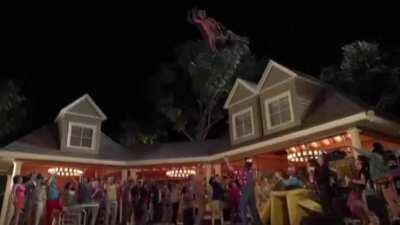 I'm above the Law - Gura.