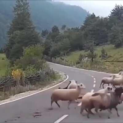 This is more of an assault than a fight, but still