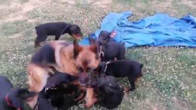 When you agree to babysit your friends kids