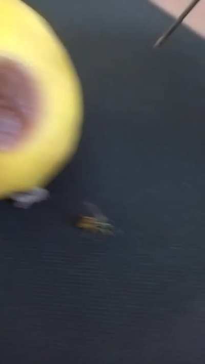 Her bulduğunuz deliğe kafanızı sokmayın.