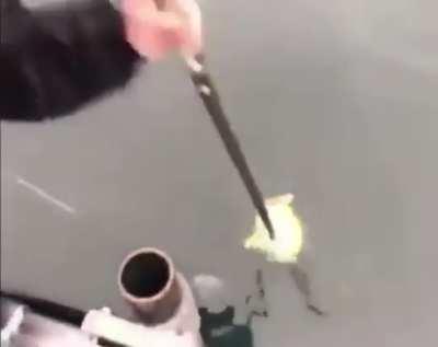 THEY CATCHED SPANKMEOFF GUYZZ!!!!!! WAT DOES WE DO???????