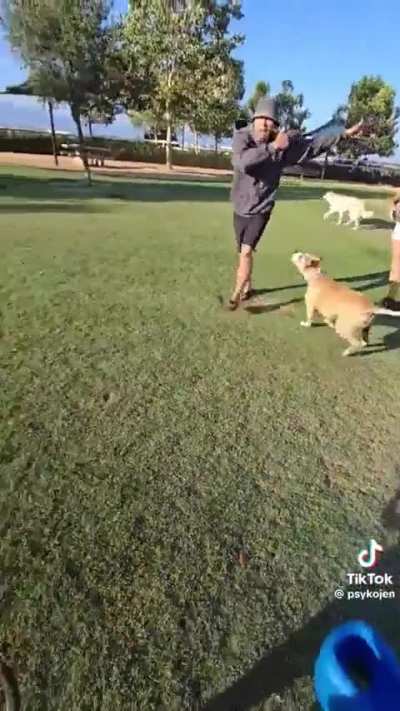 Man gets into staring contest with dog at park and takes it personal