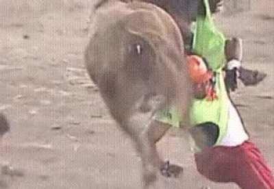 Хуем по лбу