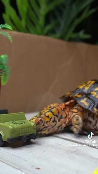 Thought you'd all appreciate this