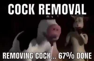 PP removal time