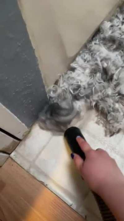 Beep beep buddy coming through to pick up all the oohhhhhhh ohgodno!!