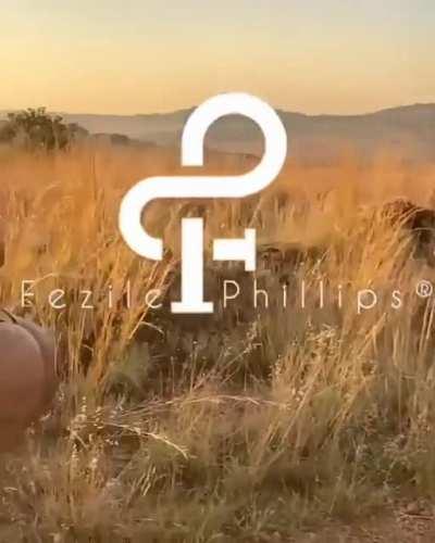 Straight from the booty source