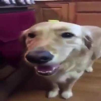 bet you wont rap to this