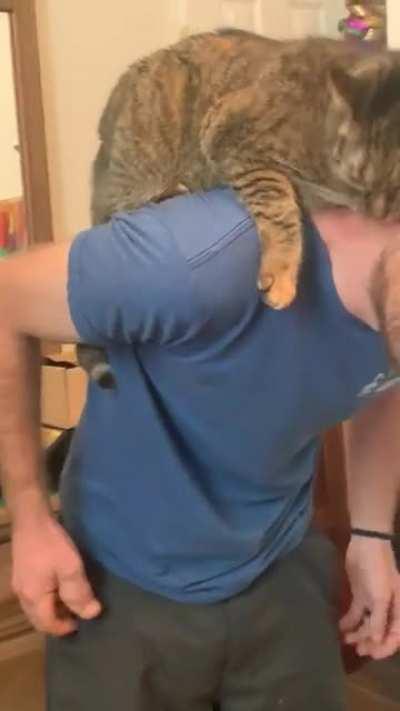 The most aggressive cuddles my cat has ever given me.