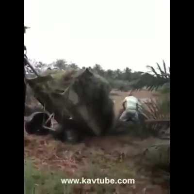 prepando o veículo que me transportará ao churras dos subs