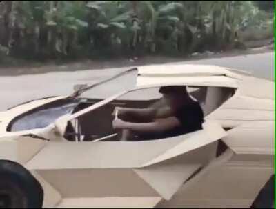 A lambo I can afford (saw on r/nextfuckinglevel by u/jayZgastby )