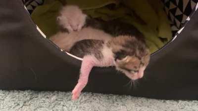 I’m breaking out of here!!! … wait…maybe not.