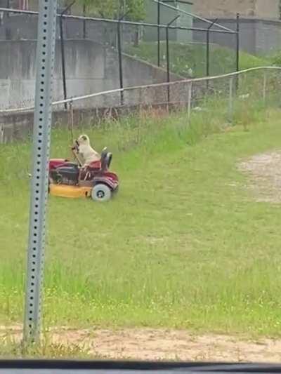 And I thought I seen it all...