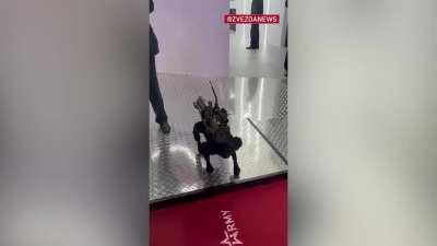 Robot dog with RPG-26, filmed today at Army-2022 military expo.